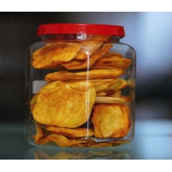 Jackfruit Kripp (Keripik Nangka)